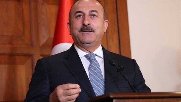 Dışişleri Bakanı Mevlüt Çavuşoğlu - Sputnik Türkiye