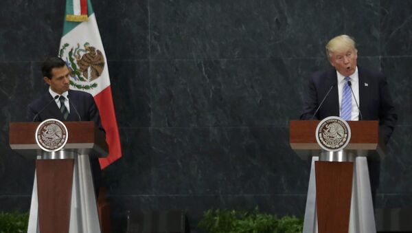 Meksika Devlet Başkanı Enrique Pena Nieto ve Cumhuriyetçi başkan adayı Donald Trump - Sputnik Türkiye