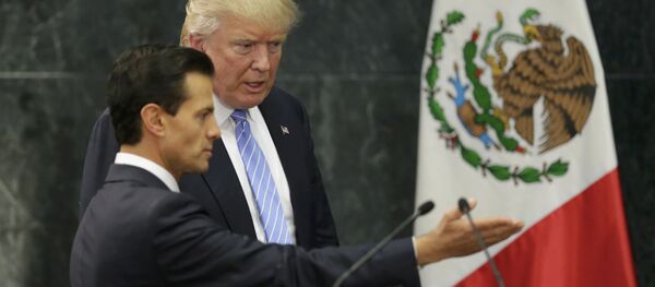 ABD'li başkan adayı Donald Trump- Meksika devlet Başkanı Pena Nieto - Sputnik Türkiye