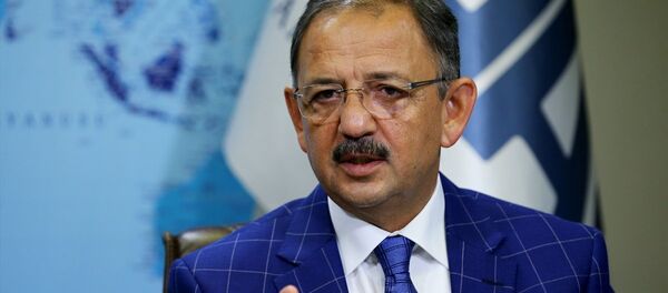 Çevre ve Şehircilik Bakanı Mehmet Özhaseki - Sputnik Türkiye