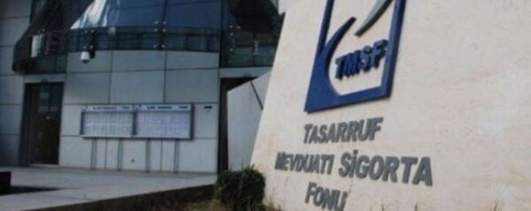 Tasarruf Mevduatı Sigorta Fonu (TMSF) - Sputnik Türkiye