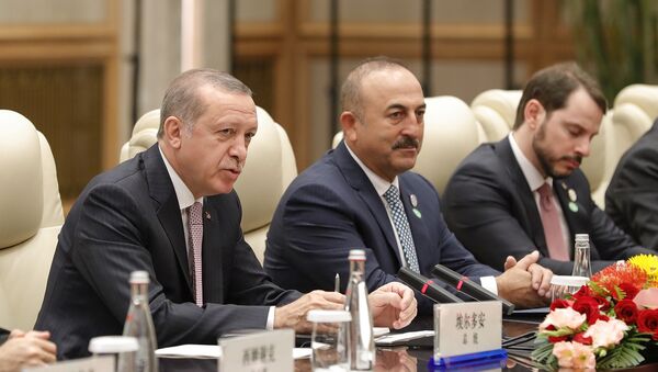 Türkiye Cumhurbaşkanı Recep Tayyip Erdoğan- Türkiye Dışişleri Bakanı Mevlüt Çavuşoğlu - Sputnik Türkiye