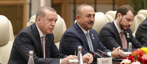 Türkiye Cumhurbaşkanı Recep Tayyip Erdoğan- Türkiye Dışişleri Bakanı Mevlüt Çavuşoğlu - Sputnik Türkiye