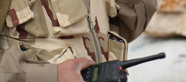 PKK'nın 'Tendürek sorumlusu' öldürüldü - Sputnik Türkiye