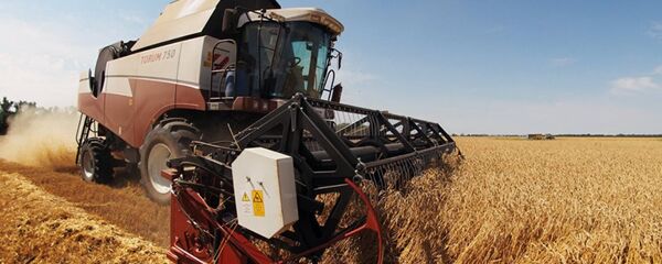 Rusya tarım Rusya tarım - Sputnik Türkiye