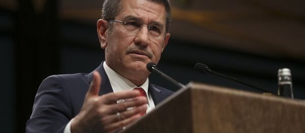 Başbakan Yardımcısı Nurettin Canikli - Sputnik Türkiye