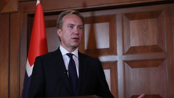 Borge Brende  - Sputnik Türkiye