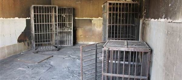 IŞİD Irak'ta esir aldığı kişileri kafeslere kapattı IŞİD Irak'ta esir aldığı kişileri kafeslere kapattı - Sputnik Türkiye