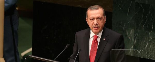 Cumhurbaşkanı Recep Tayyip Erdoğan - Sputnik Türkiye