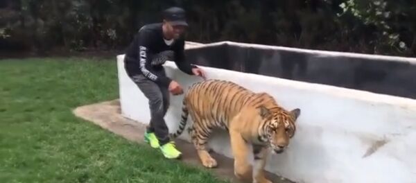 F-1 pilotu Lewis Hamilton - VİDEO - Sputnik Türkiye