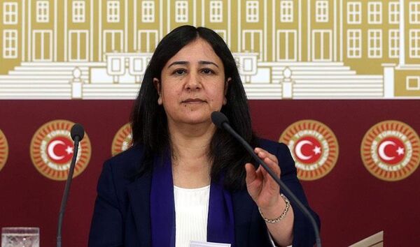 HDP Grup Başkanvekili Çağlar Demirel  - Sputnik Türkiye