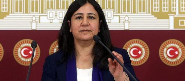 HDP Grup Başkanvekili Çağlar Demirel - Sputnik Türkiye