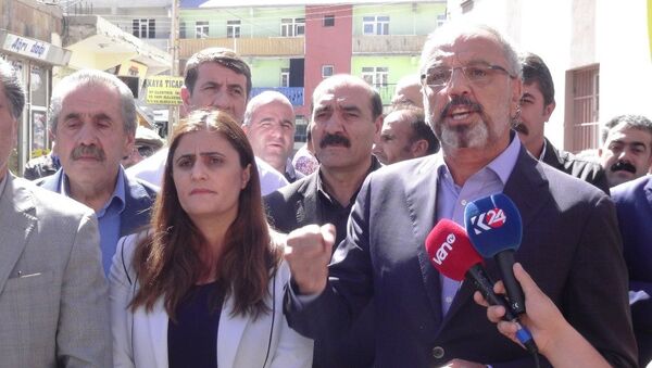 Ağrı Belediye Başkanı DBP'li Sırrı Sakık - Sputnik Türkiye
