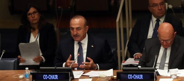 Dışişleri Bakanı Mevlüt Çavuşoğlu Dışişleri Bakanı Mevlüt Çavuşoğlu - Sputnik Türkiye