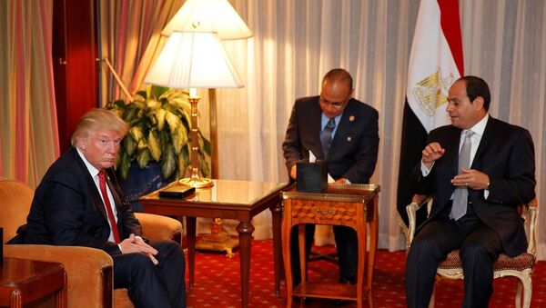 Mısır Cumhurbaşkanı Abdulfettah el Sisi, New York’ta ABD başkan adaylarından Donald Trump ile görüştü. - Sputnik Türkiye