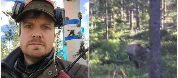 ayı - Sputnik Türkiye