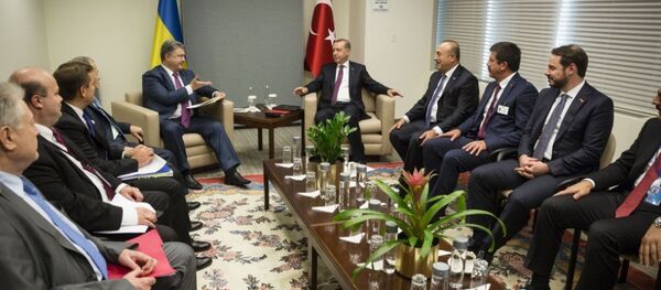 Cumhurbaşkanı Recep Tayyip Erdoğan - Ukrayna Devlet Başkanı Petro Poroşenko - Sputnik Türkiye