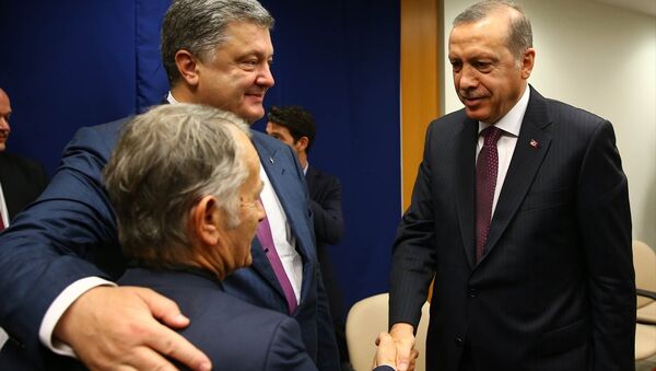 Türkiye Cumhurbaşkanı Recep Tayyip Erdoğan (sağda), BM'nin 71. Genel Kurul görüşmelerine katılmak üzere geldiği New York'ta, Ukrayna Devlet Başkanı Petro Poroşenko (ortada) ile görüştü. Görüşmede Kırım Tatar Meclisi'nin eski lideri Mustafa Cemilev (sağda) da yer aldı. - Sputnik Türkiye