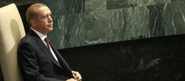 Recep Tayyip Erdoğan - Sputnik Türkiye