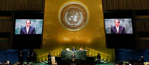 Mısır Cumhurbaşkanı Abdulfettah el Sisi, - Sputnik Türkiye