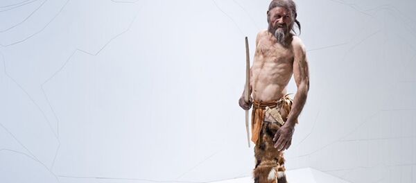 Oetzi isimli mumya - Sputnik Türkiye