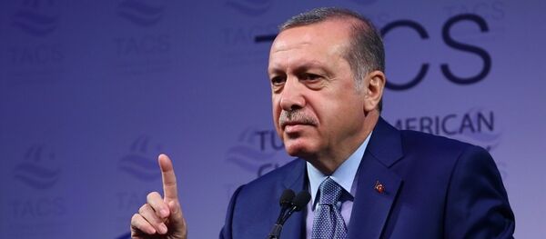 Cumhurbaşkanı Recep Tayyip Erdoğan - Sputnik Türkiye