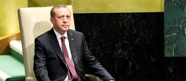 Recep Tayyip Erdoğan - Sputnik Türkiye
