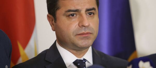 HDP Eş Genel Başkanı Selahattin Demirtaş - Sputnik Türkiye
