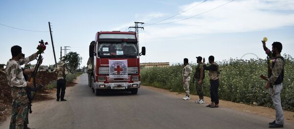 Kızılhaç yardım tırı - Sputnik Türkiye