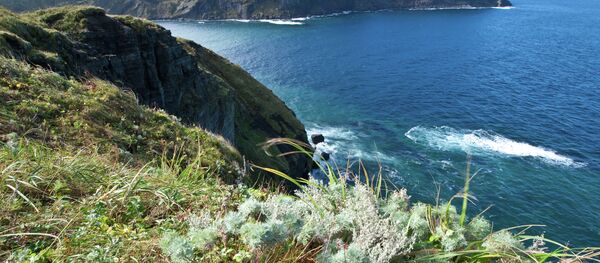 Kuril Adaları - Sputnik Türkiye