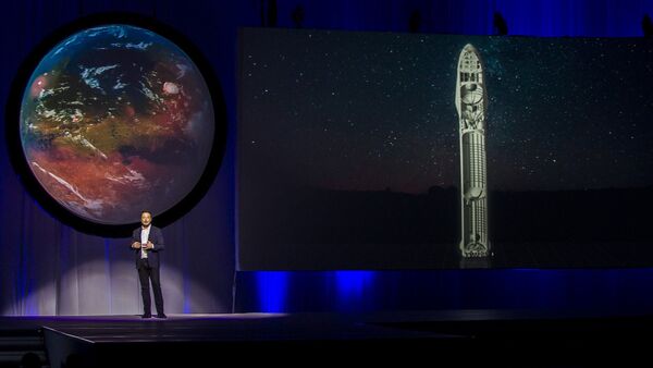 Space X CEO'su Elon Musk - Sputnik Türkiye
