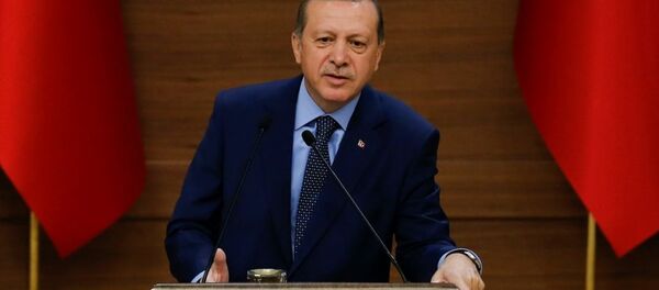 Cumhurbaşkanı Recep Tayyip Erdoğan - Sputnik Türkiye