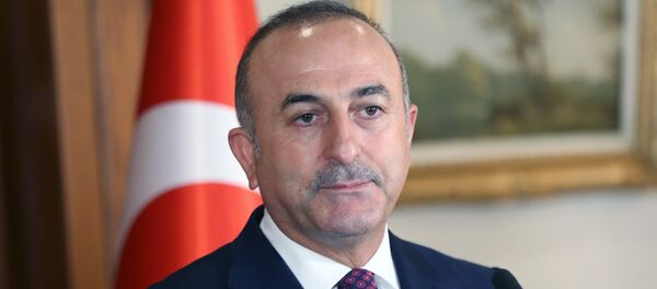 Dışişleri Bakanı Mevlüt Çavuşoğlu - Sputnik Türkiye