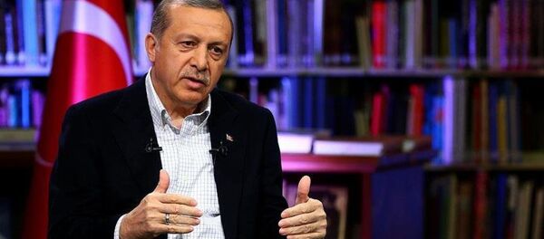 Cumhurbaşkanı Recep Tayyip Erdoğan - Sputnik Türkiye