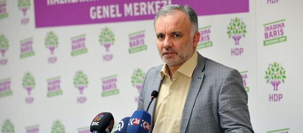 Ayhan Bilgen Ayhan Bilgen - Sputnik Türkiye