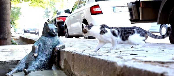 Kadıköy'de öldürülen Tarçın'ın heykeli dikildi - 12.06.2018, Sputnik Türkiye