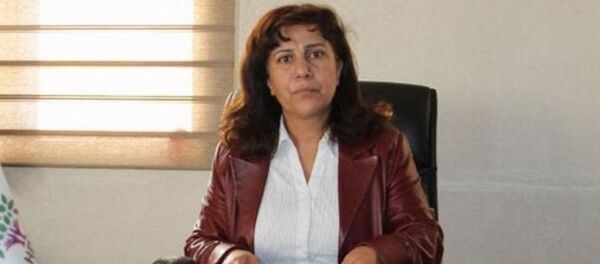 Hafize İpek - Sputnik Türkiye