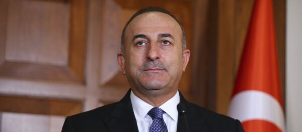 Dışişleri Bakanı Mevlüt Çavuşoğlu - Sputnik Türkiye