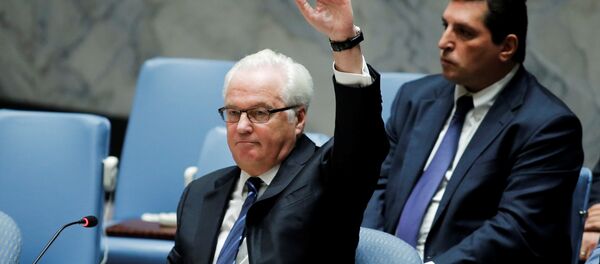 Rusya’nın BM Daimi Temsilcisi Vitaliy Çurkin - Sputnik Türkiye