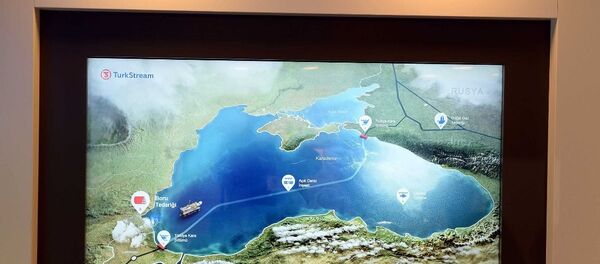 Türk Akımı Projesi sergisi 23. Dünya Enerji Kongresi'nde - Sputnik Türkiye