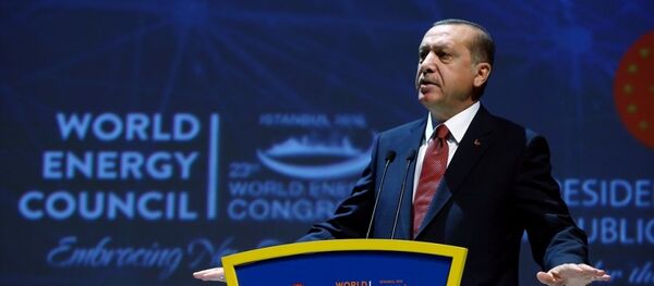 Cumhurbaşkanı Recep Tayyip Erdoğan - Sputnik Türkiye