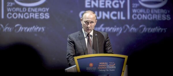 Vladimir Putin - Sputnik Türkiye