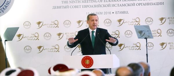 Cumhurbaşkanı Recep Tayyip Erdoğan - Sputnik Türkiye