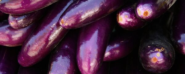 Patlıcan - Sputnik Türkiye