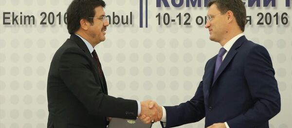 Rusya Enerji Bakanı Aleksandr Novak-Türkiye Ekonomi Bakanı Nihat Zeybekci - Sputnik Türkiye
