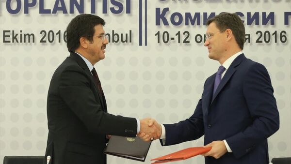 Rusya Enerji Bakanı Aleksandr Novak-Türkiye Ekonomi Bakanı Nihat Zeybekci - Sputnik Türkiye