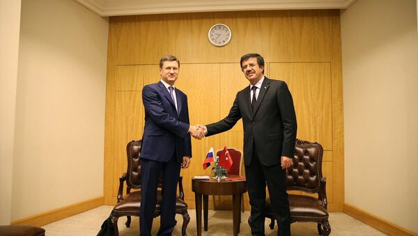 Ekonomi Bakanı Nihat Zeybekci- Rusya Enerji Bakanı Aleksandr Novak - Sputnik Türkiye