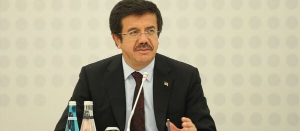 Ekonomi Bakanı Nihat Zeybekci - Sputnik Türkiye
