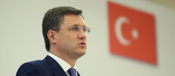 Rusya Enerji Bakanı Aleksandr Novak - Sputnik Türkiye