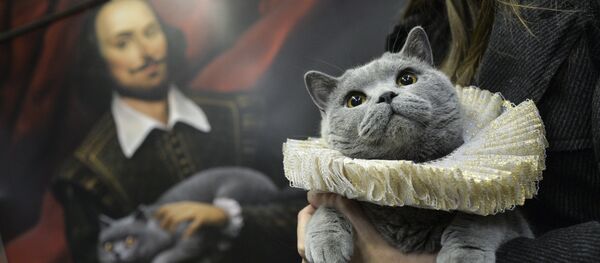 William Shakespeare temalı tren - Sputnik Türkiye